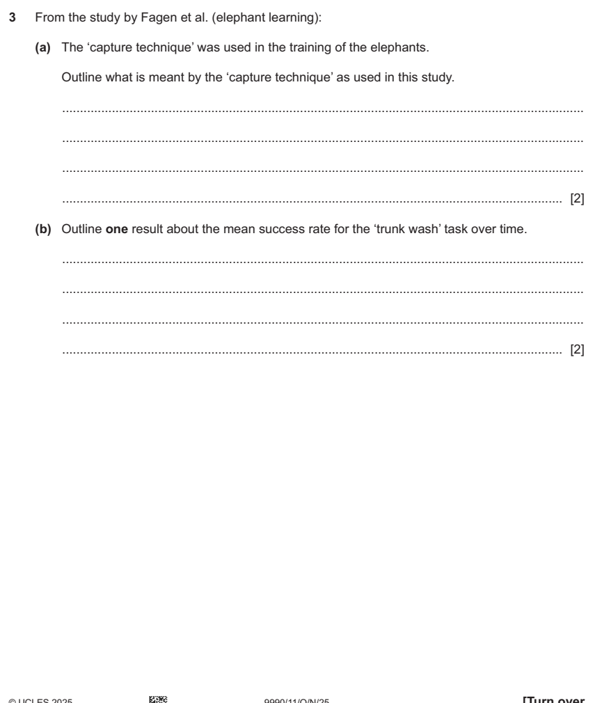 9990-2025-on-11-q03 source crop